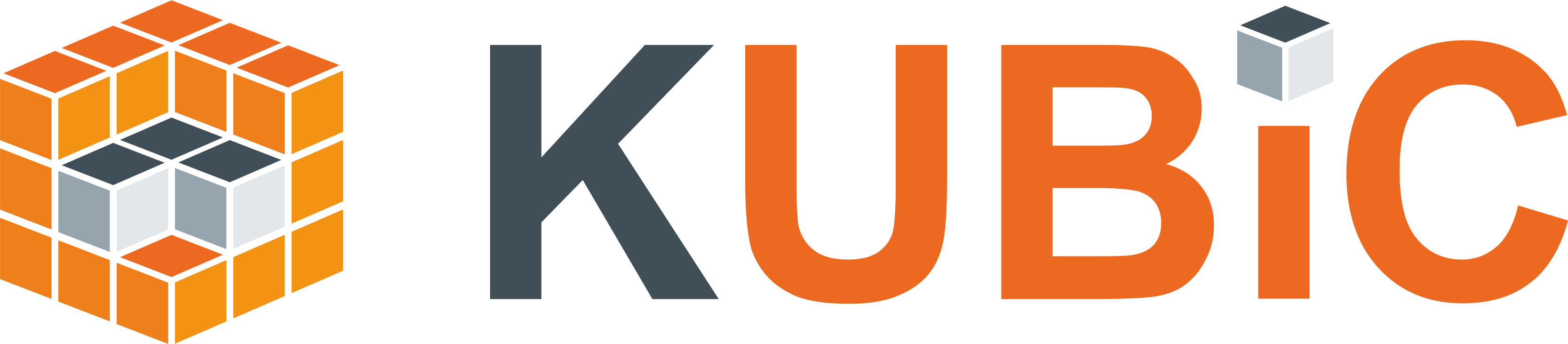 Kubic Logo2